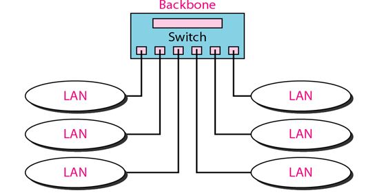 star backbone_network